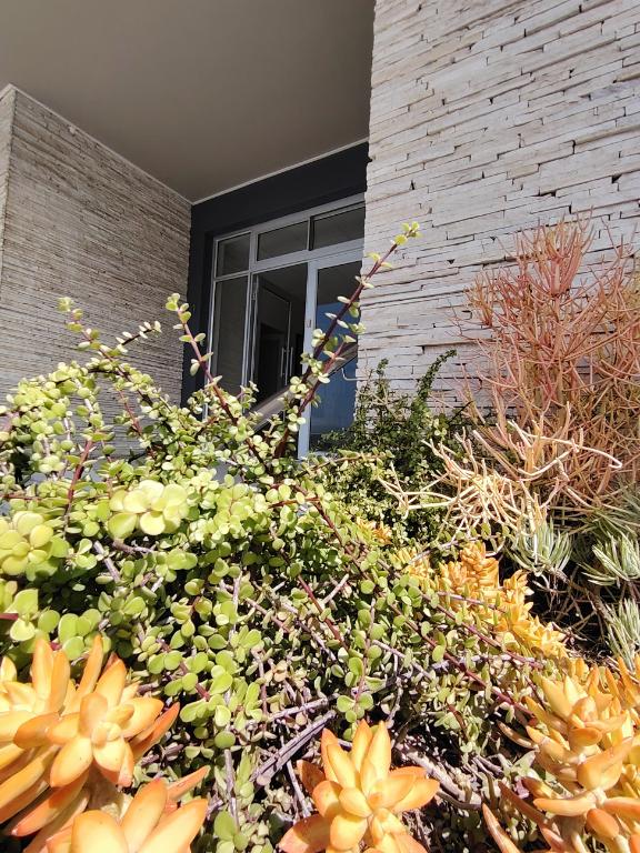 Commercial Property for Sale in Plettenberg Bay Central Western Cape